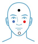 Vemp Ink Vestibular Evoked Myogenic Potentials (VEMP) | Testing Guides