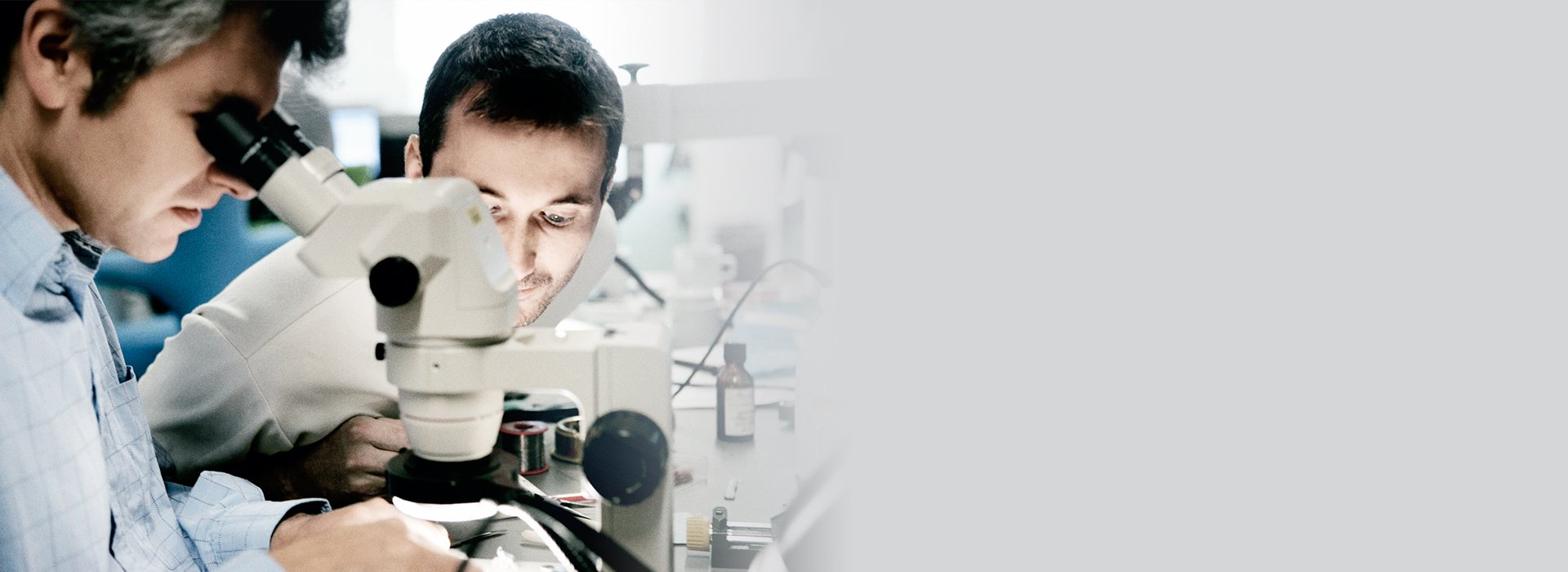 introbanner-Kongebakken-1920x700